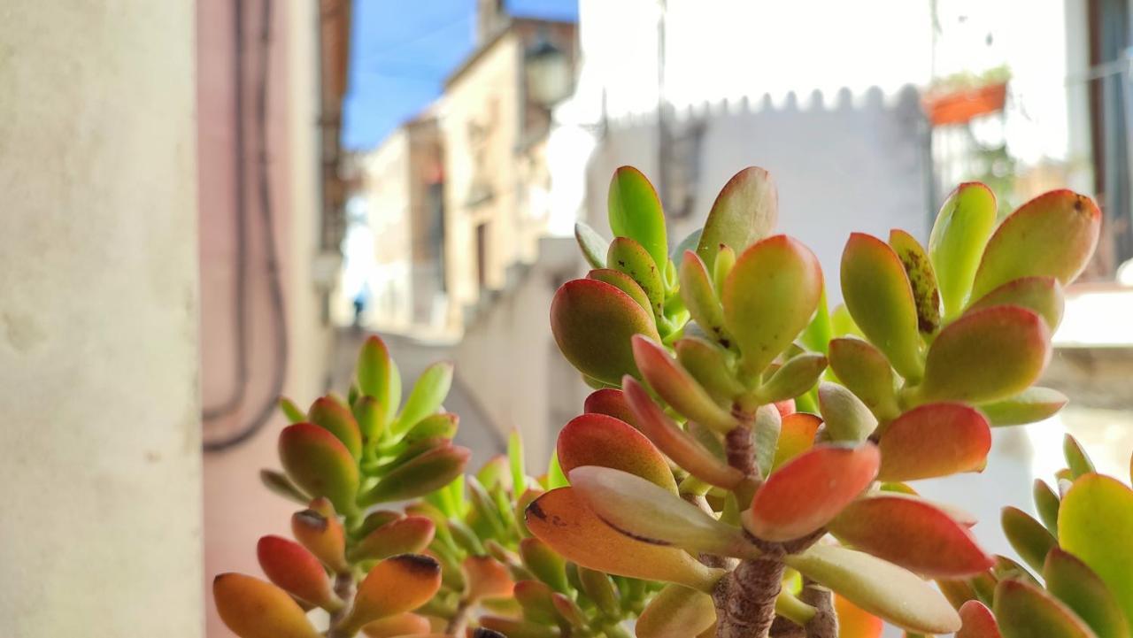La Casina de Piedra ENCANTO - Parte Antigua de Cáceres Exterior foto